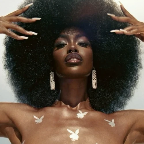 Top 3 Black Playboy Playmates