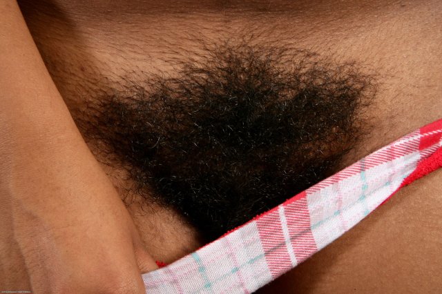 Ebony cutie Alexis spreading hairy pussy