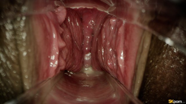 Ebony pregnant Ariana Aimes getting fucked