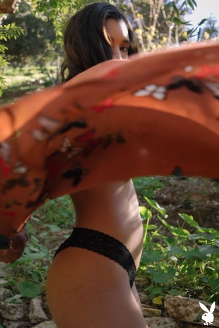 Black adorable naked model Brookliyn Wren