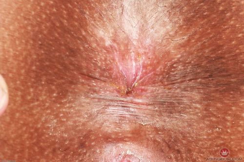 Kinky ebony slut Eden West