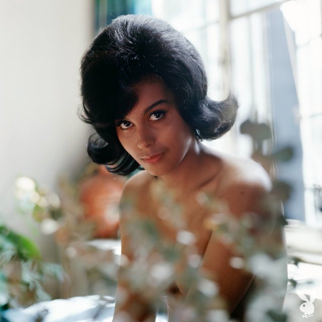 Black adorable beauty Jennifer Jackson