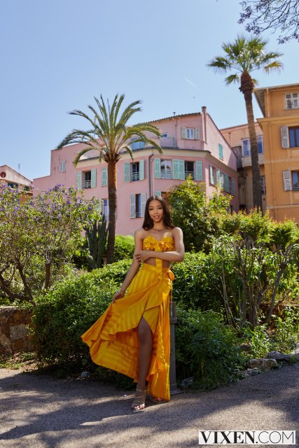 Black adorable Lia Lin having exotic sex