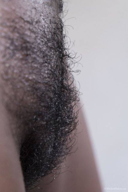 Ebony hottie Luz M unveiling hairy twat