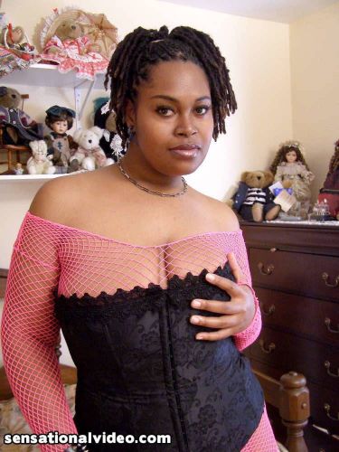 Gorgeous ebony Shadow Cat