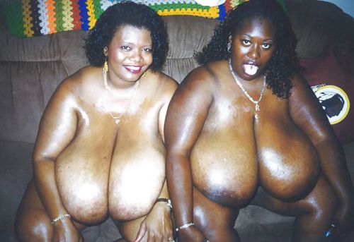 Black busty lesbians Shauna Moon and Norma Stitz