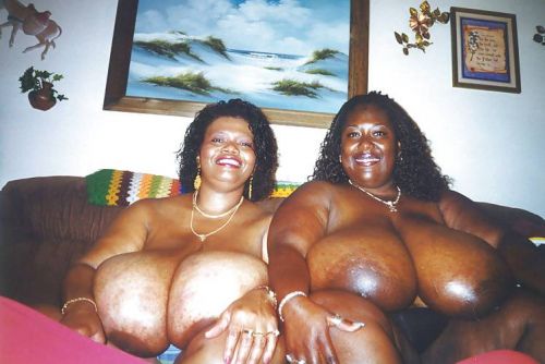 Black busty lesbians Shauna Moon and Norma Stitz