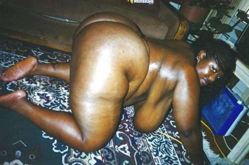 Black busty lesbians Shauna Moon and Norma Stitz