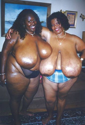 Black busty lesbians Shauna Moon and Norma Stitz