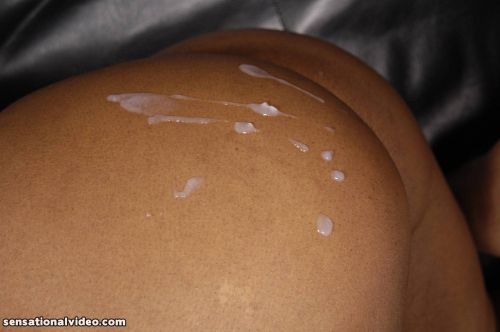 Ebony Stacey Sweets riding white cock